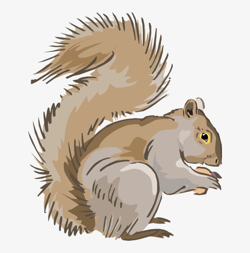 Clipart Squirrel Squirrels Clip Art Transparent Png 636x750 Free Download On Nicepng