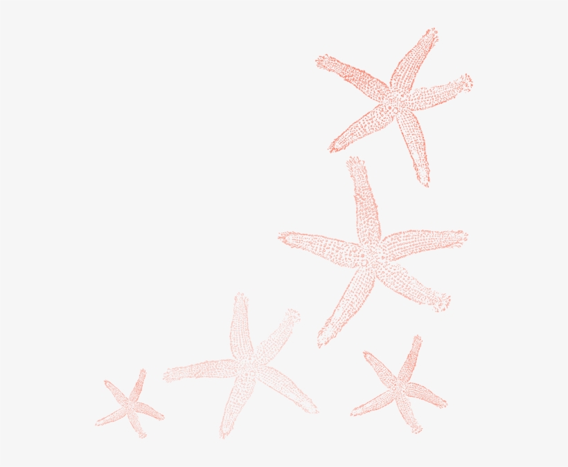 Starfish Stairway Coral Colors Clip Art At Clker - Starfish, transparent png download