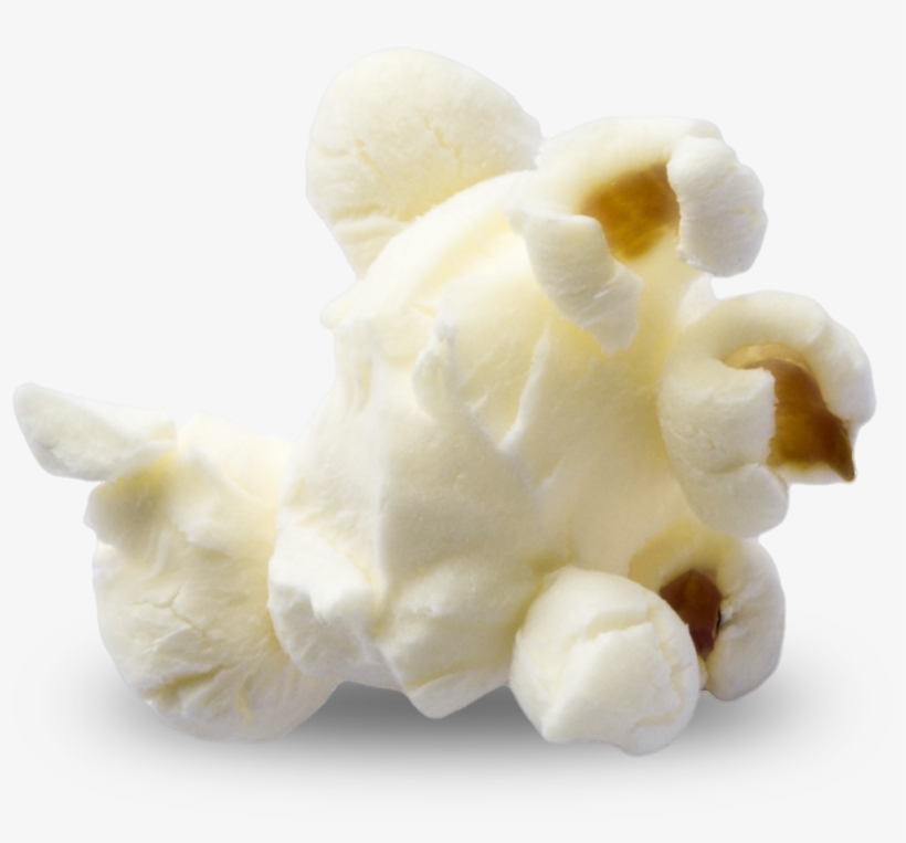 Popcorn Png Photos - Great Northern Popcorn Company Great Northern Popcorn, transparent png download