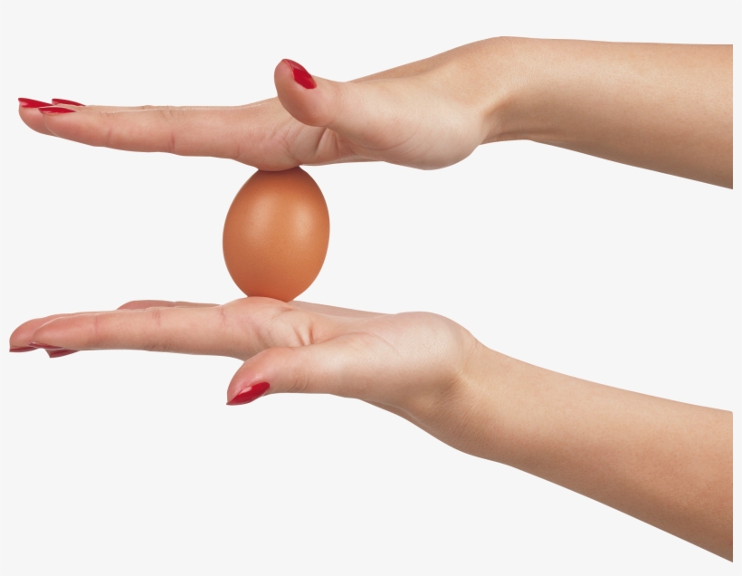Two Hand Holding Egg - Hand Holding Egg Png, transparent png download