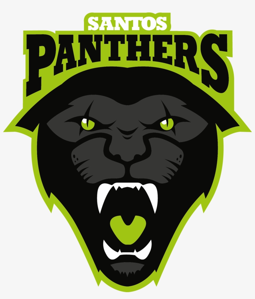 Fc Santos Panthers Shop - Carolina Panthers, transparent png download