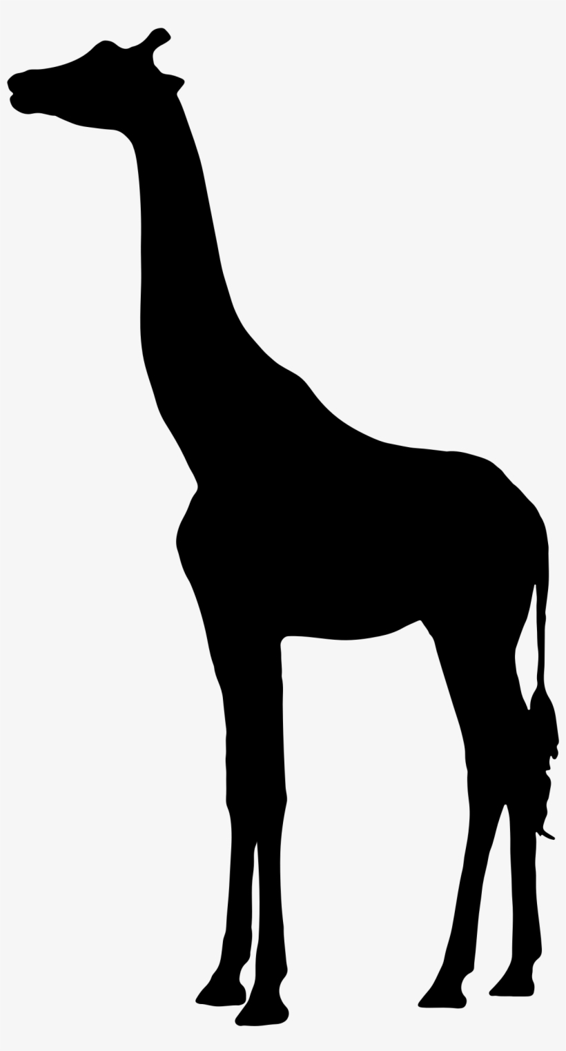 Big Image Png - Giraffe Silhouette, transparent png download