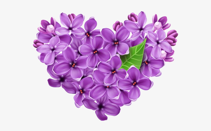 Svg Freeuse Lilac Transparent Background - Cuore Di Anna Buon Pomeriggio, transparent png download