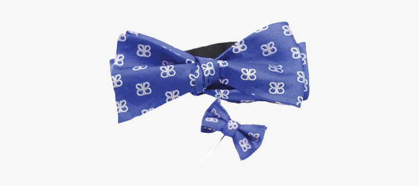 $65 - - Bow Tie, transparent png download