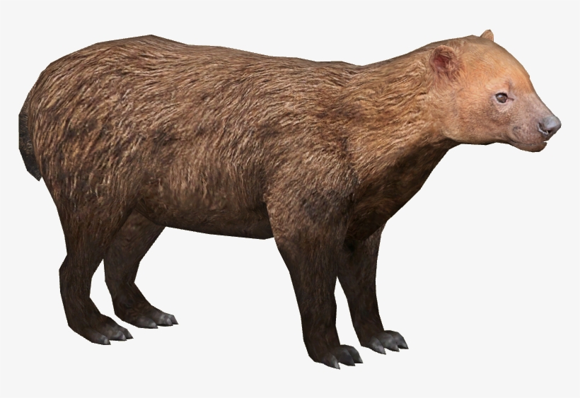 Bush Dog - Zt2 Bush Dog, transparent png download