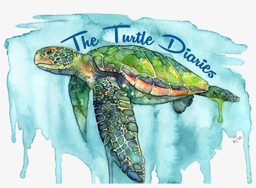 Sea Painting Turtle, transparent png download
