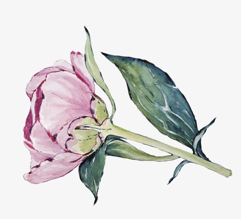 First Of All, I Am Not Very Good With All Those Photoshop - White Trillium, transparent png download