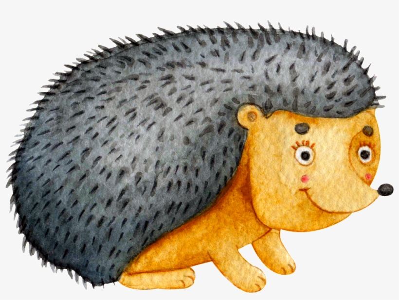 Gray Cute Hedgehog Hand Painted Transparent - Hedgehog, transparent png download