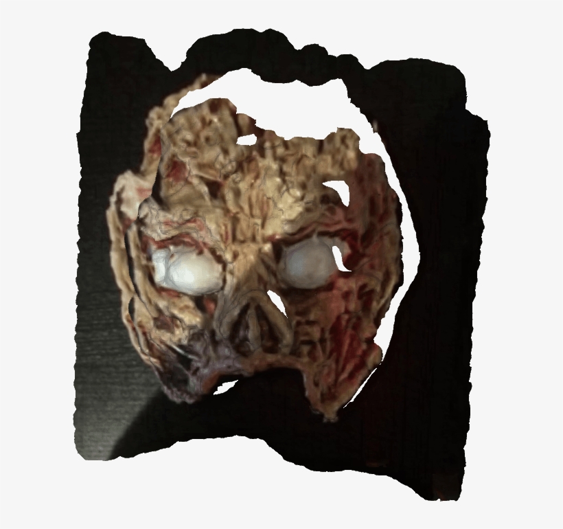 Shell, transparent png download