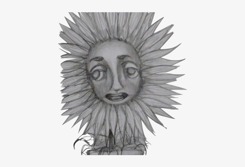 Flower Face - Sketch, transparent png download