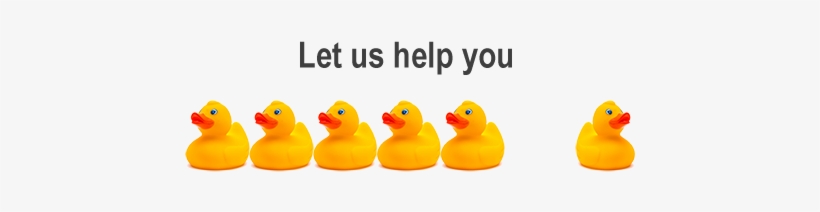 The Experts In Clinical Pharmacology, Nonclinical, - Duck, transparent png download