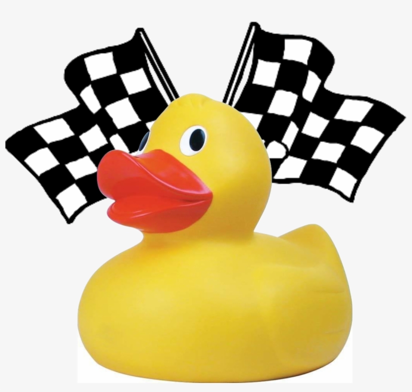 Adopt A Duck For The Family Center » Ducks - Checkered Flag Black And White, transparent png download