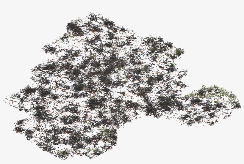 World Cave Iso 180 - Christmas Tree, transparent png download