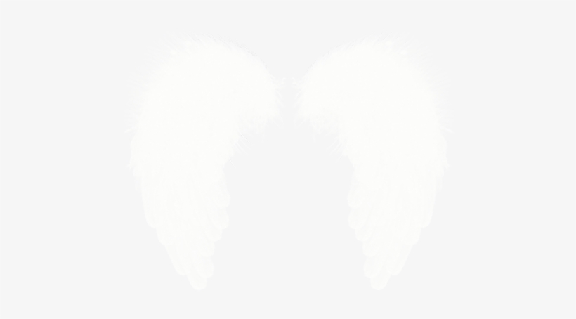White Wings Png - Пнг Крылья, transparent png download