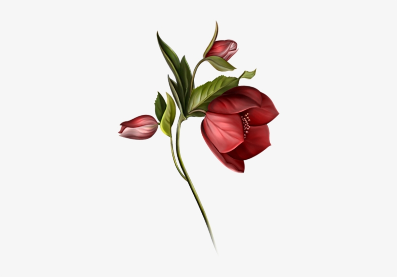 Garden Flames - Flower, transparent png download