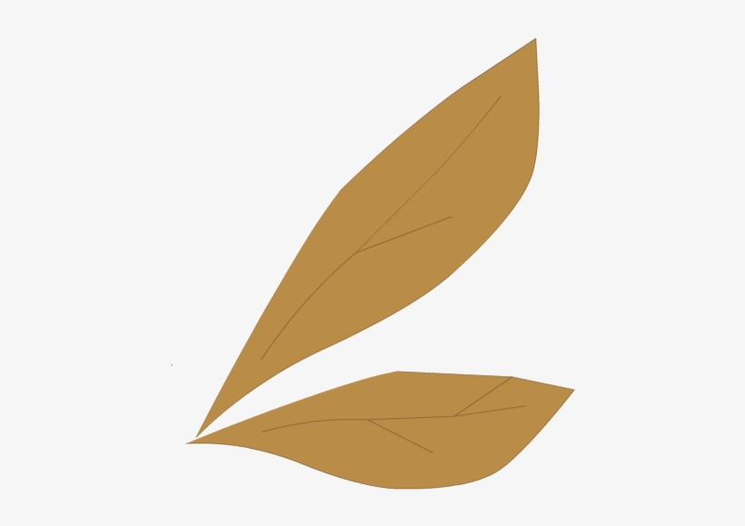 White Scaraleaf Wings - Paper, transparent png download