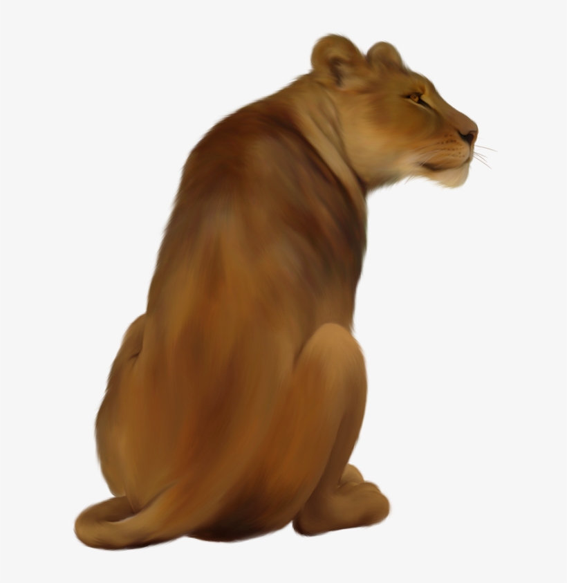 Lioness Png Pic - Leoas Png, transparent png download