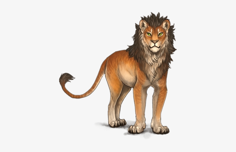 Lion, transparent png download