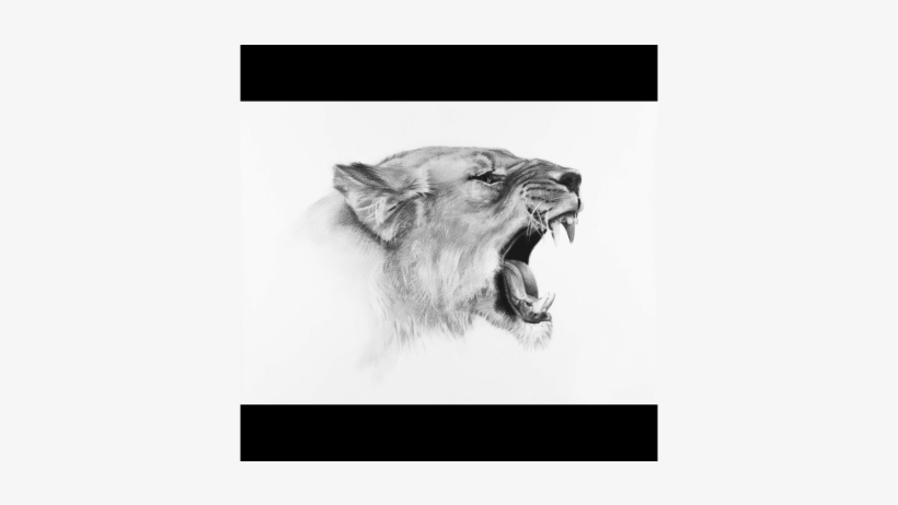 Drawing, transparent png download