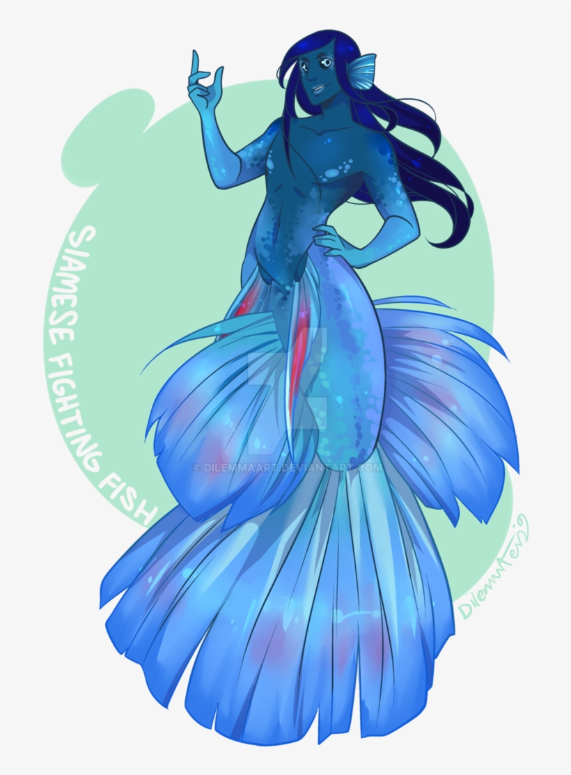 Png Free Download Fighting Fish By - Siamese Fighting Fish, transparent png download
