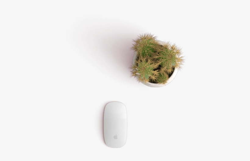 Table Plant Png Top, transparent png download