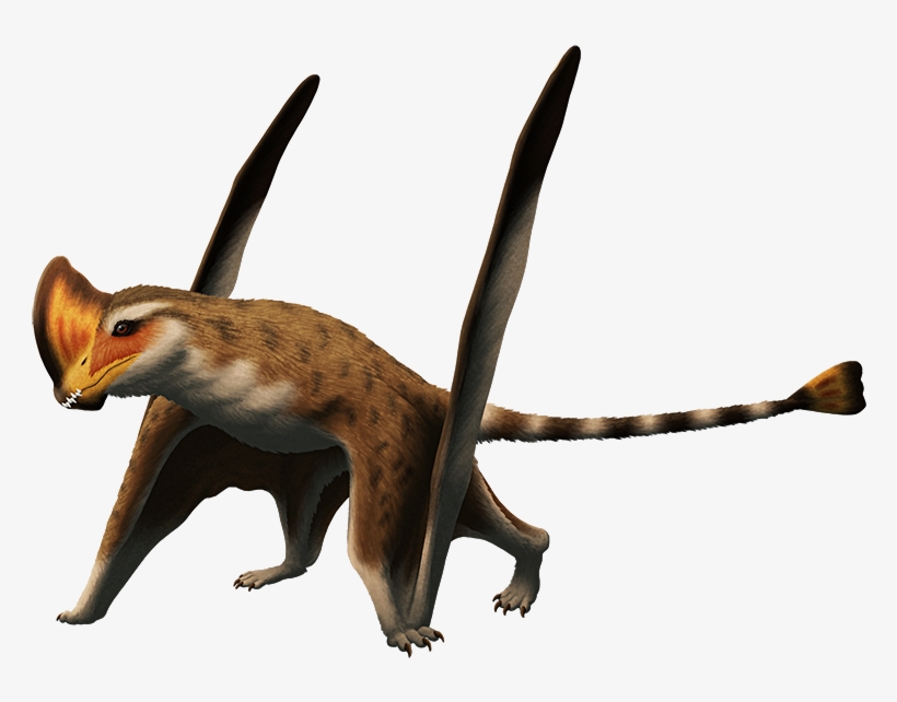 Caviramus Schesaplanensis, A Pterosaur From The Late - Caviramus, transparent png download