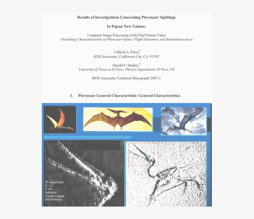 Are Marfa Lights Pterosaurs - Vampire Bat, transparent png download