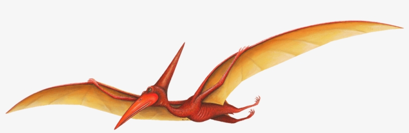Pterodactyl Dinosaur Wall Decal Sticker - Pterodactyl Dinosaur, transparent png download