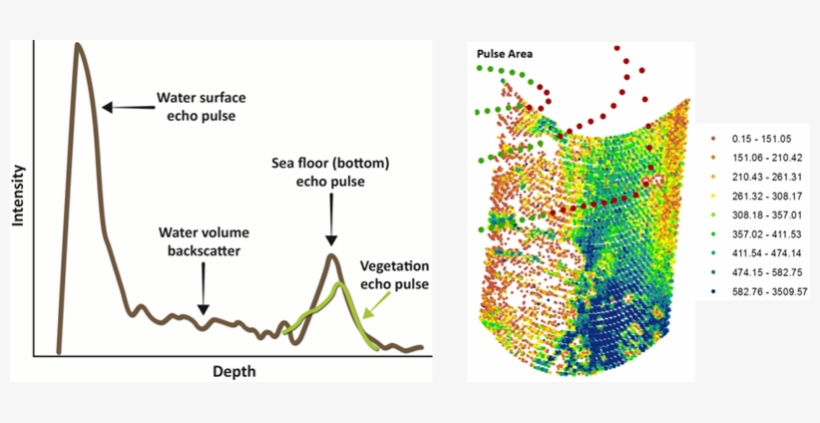 Green Channel Consist Of - Diagram, transparent png download