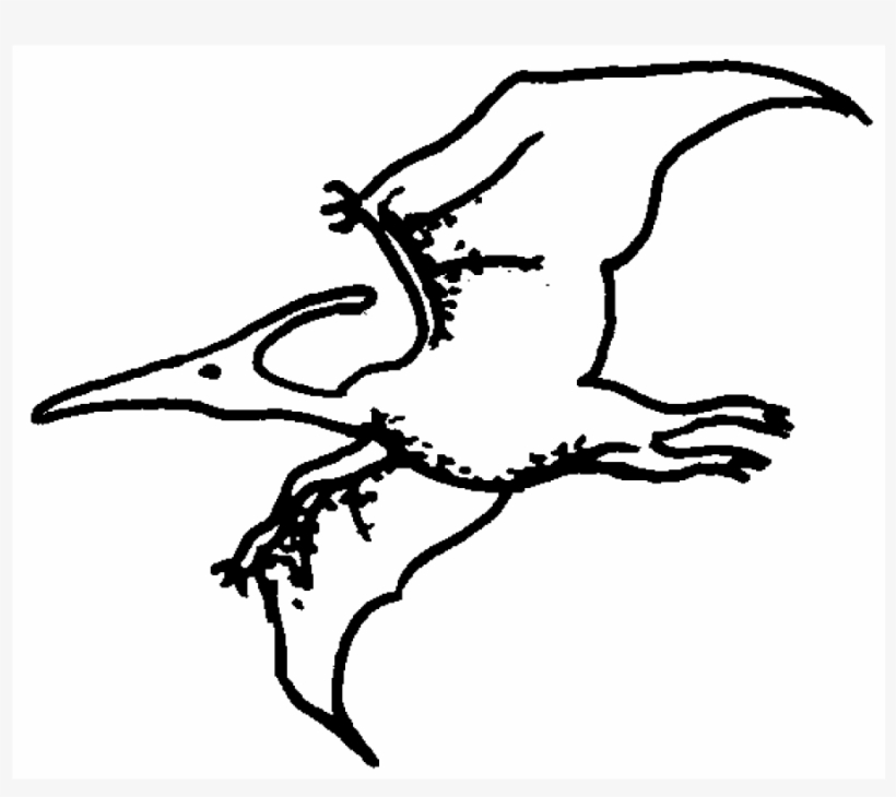 Zoom Pterodactyl Rubber Stamp - Sketch, transparent png download
