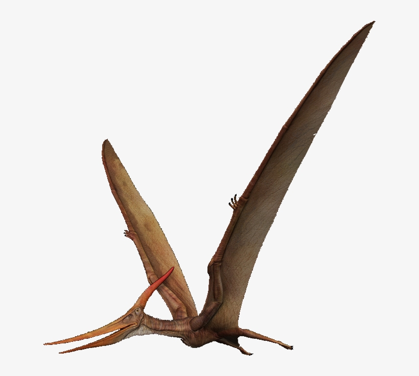 Pterosaurs Png Transparent Picture - Pterosaurio Png, transparent png download