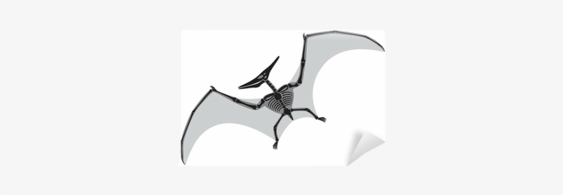 Pterodactyl Skeleton, transparent png download