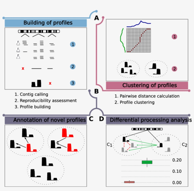 Overview Of Serpent - Genome, transparent png download