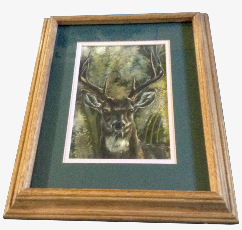 Bixby, Buck With A Big Rack, Deer, Original Watercolor - Picture Frame, transparent png download