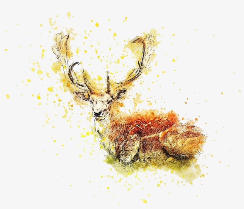 Cafepress ! Iphone 7 Tough Case, transparent png download