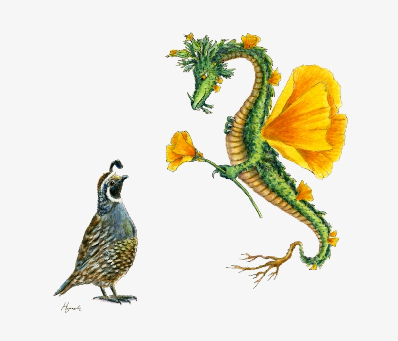 Poppy California Watercolor, transparent png download