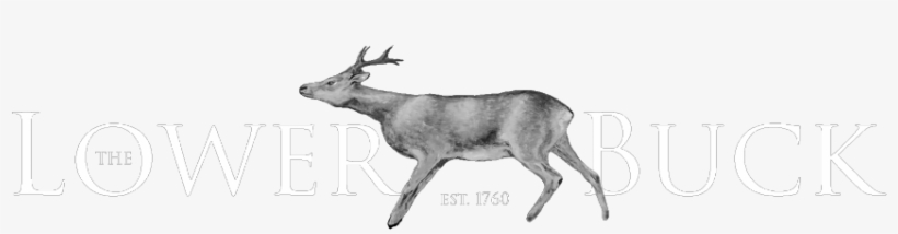 The Lower Buck Logo Waddington - Elk, transparent png download
