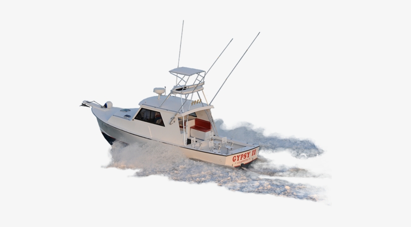We Just Bought Another Boat So - Gypsy Fishing Charters Clearwater, transparent png download