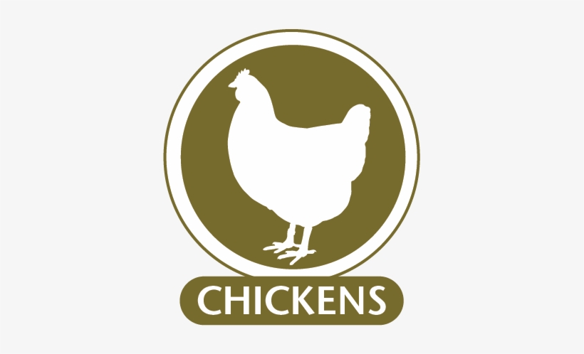 Monoclonal Antibodies For Use In Chickens - Giclee Painting: Help The National Egg Collection, transparent png download