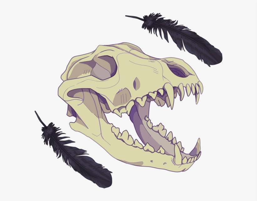 Skull Face Right - Wolf Skull Shirt Design, transparent png download