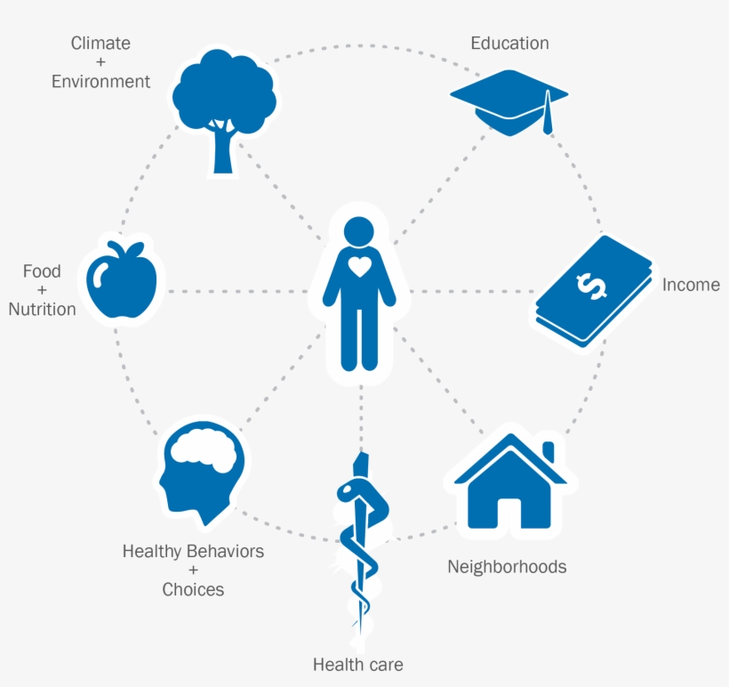 Apha Health Influences - Health Influences, transparent png download