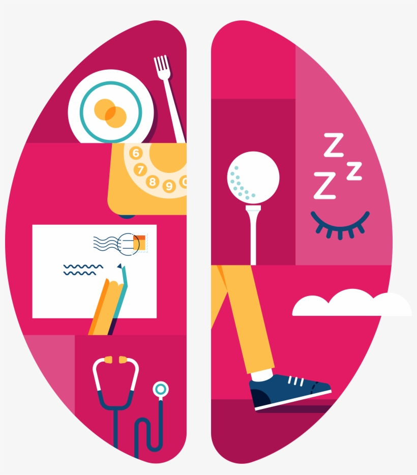 Brain Transparent Healthy - Healthy Brain Illustration, transparent png download