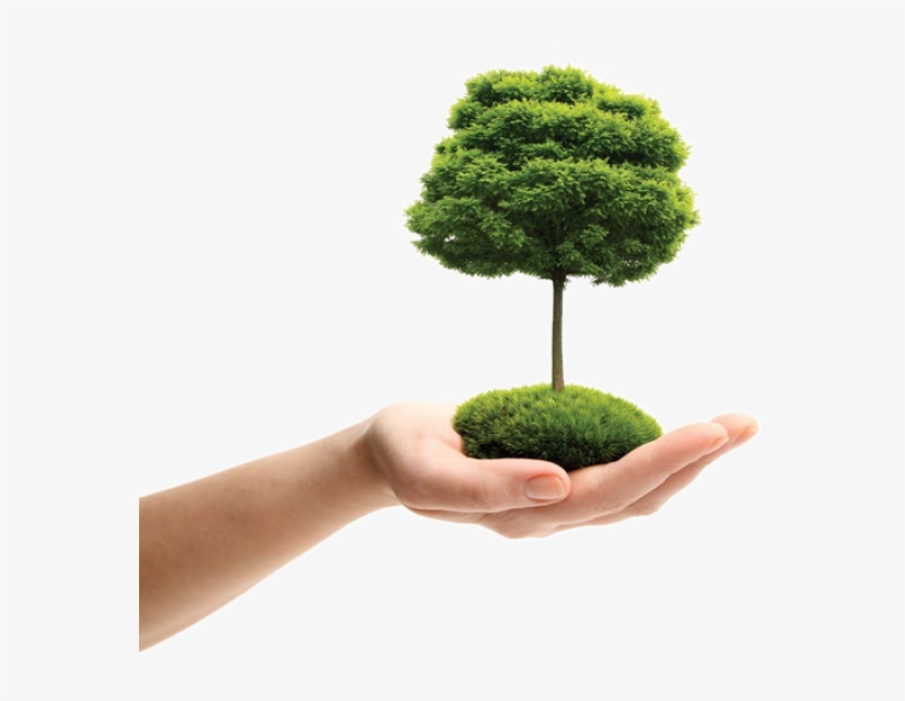 At Tri-wall, Everything We Do Is Dedicated To Protecting - Earth Day Logo Png, transparent png download