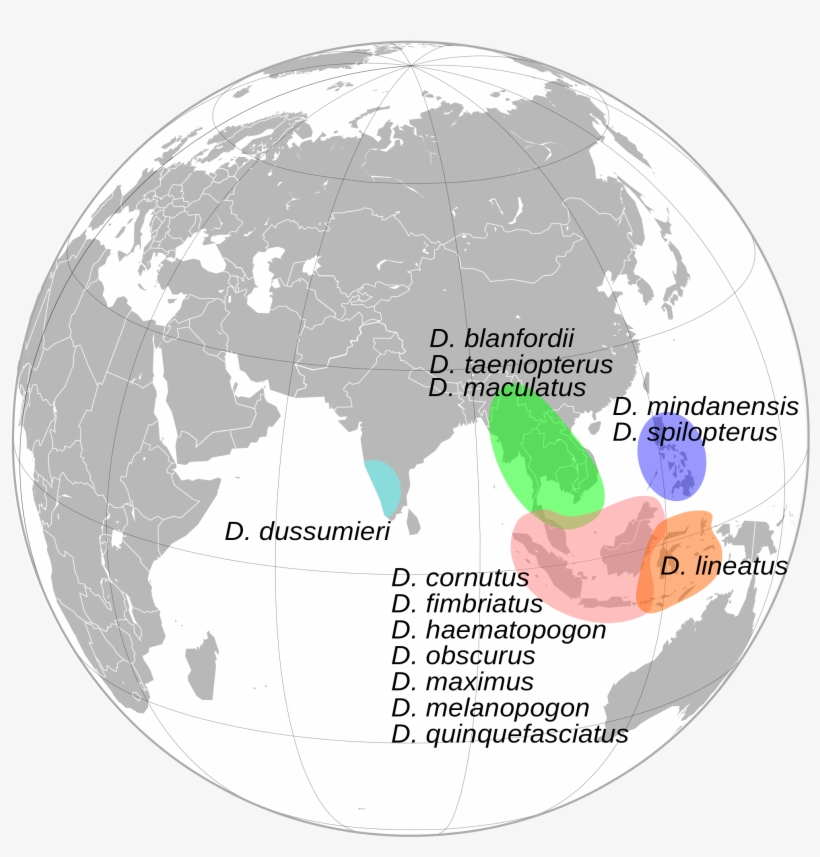 Open - World Map India Globe, transparent png download