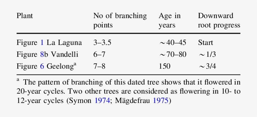 Draco Trees In Order Of Downward Growth Of Their Aerial - Words To Live, transparent png download