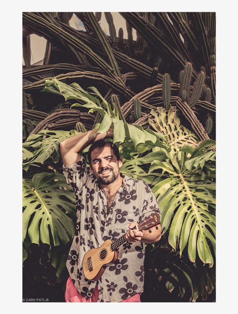 Pluto's Not A Planet - Sabal Palmetto, transparent png download