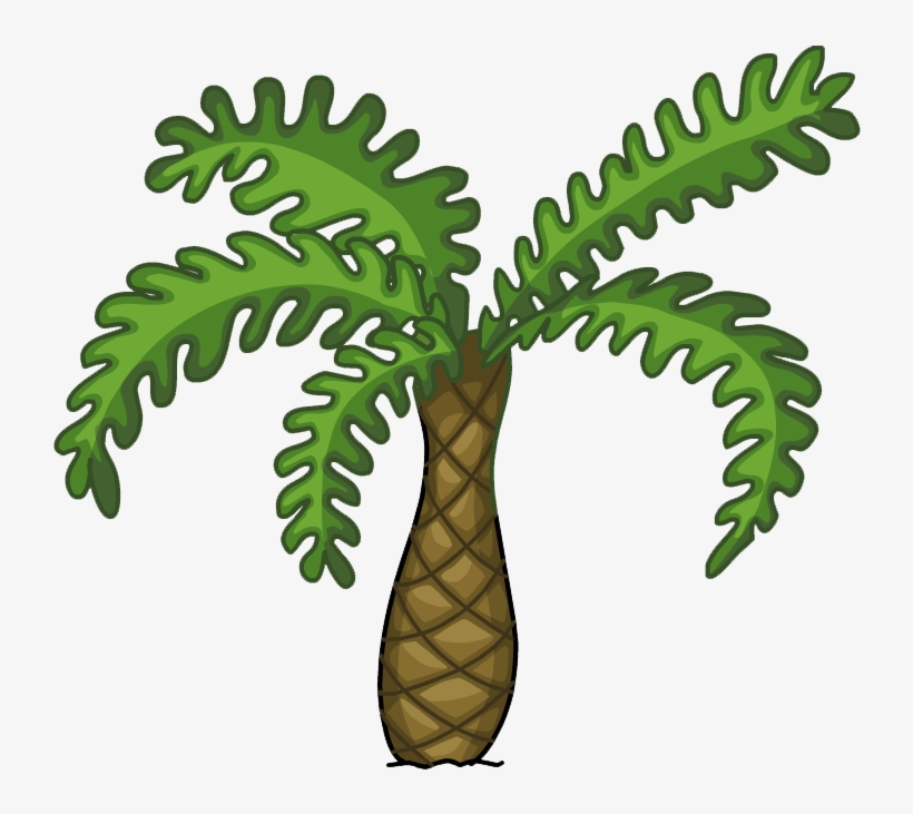 Palmera - Illustration, transparent png download