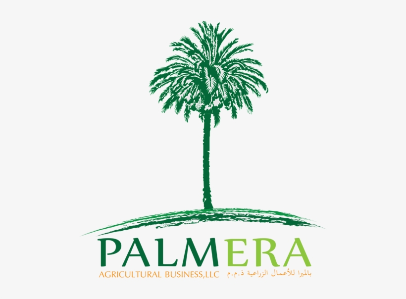 Palm Trees, transparent png download
