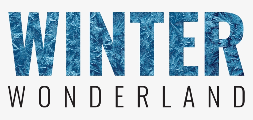 A Winter Wonderland Is Never Complete Without Snow, transparent png download