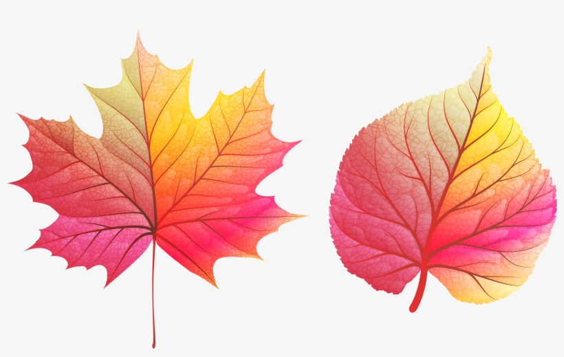 Fall Leaves Clipart Png, transparent png download